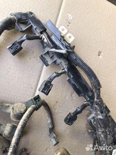 Проводка моторного отсека Хонда CR-V3 (764)