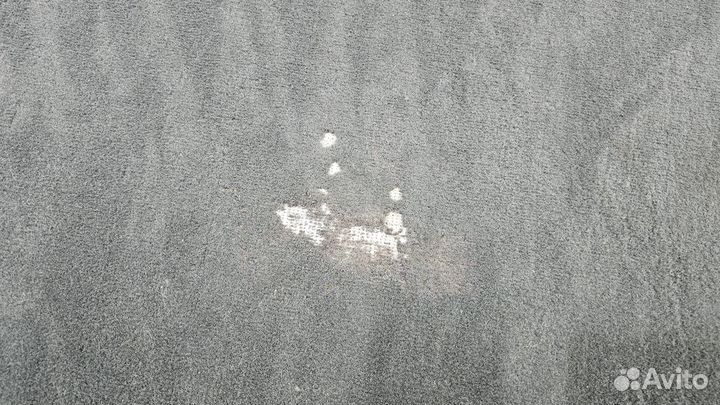 Обшивки багажника на Mercedes-Benz W220 S