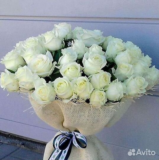 Высокие розы Гигантские розы с доставкой