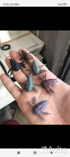 Производство рыболовных приманок и ароматизаторов