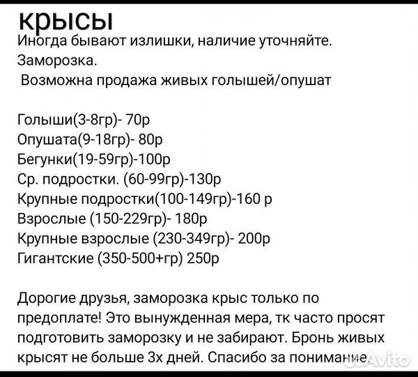 Мыши, крысы. Кормовые грызуны