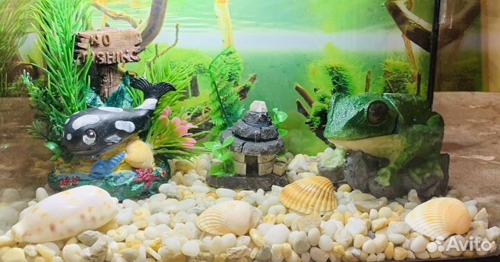 Маленькие аквариумы на 4 литра (комплекты)