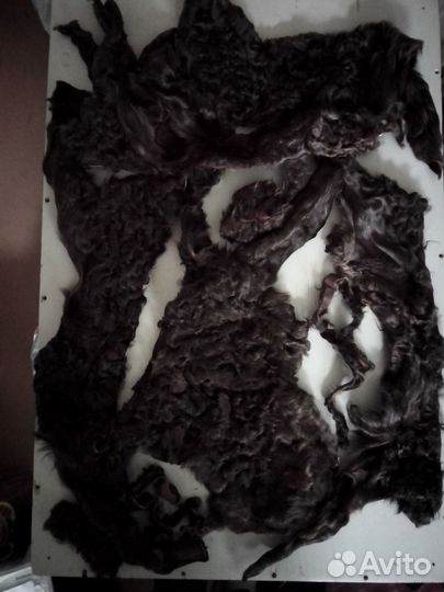 Каракульча обрезки