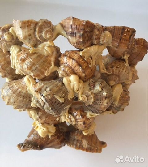 Ваза из ракушек