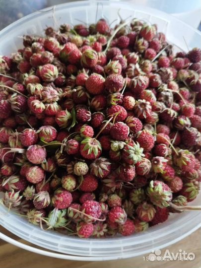 Варенье из смородины, клубники, абрикос, жимолости