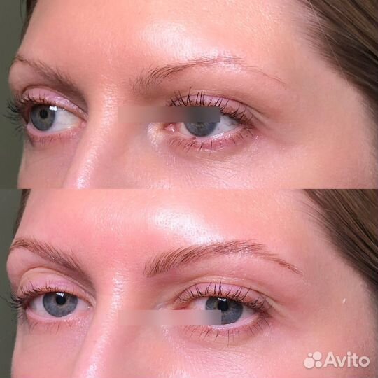 Мастер бровист