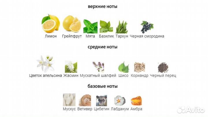 Tom Ford - Mandarino di Amalfi