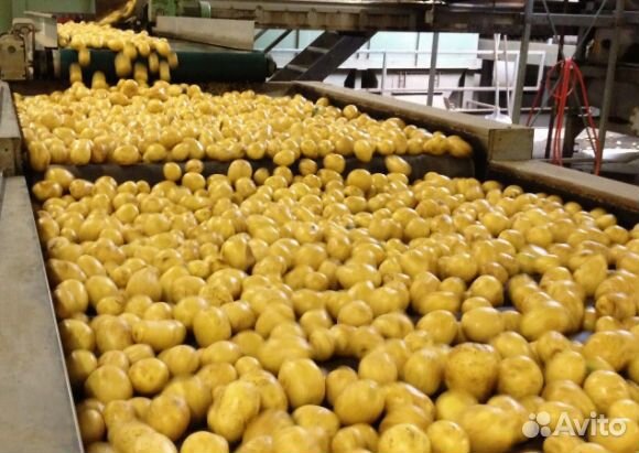 Разнорабочий на овощебазу