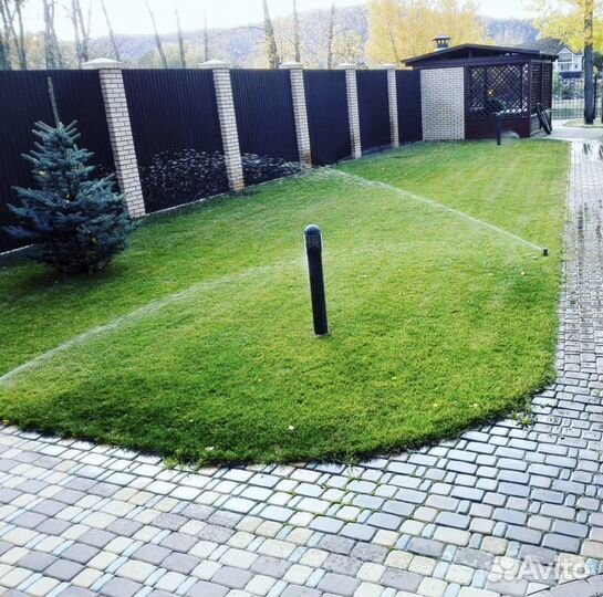 Рулонный газон