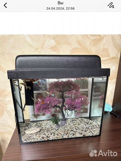 Аквариум 20 литров