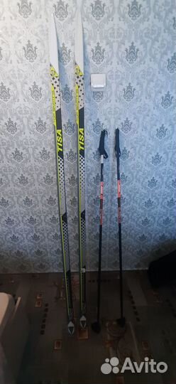 Лыжи беговые tisa top skatne