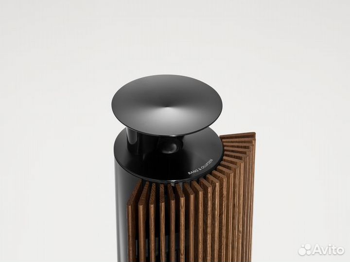 Колонки Bang & Olufsen Beolab 18 Black Anthracite