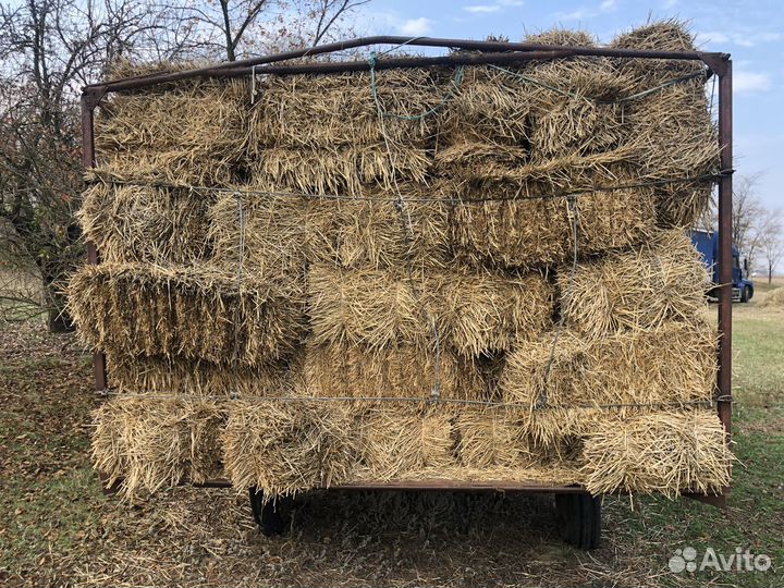 Солома пшеничная в тюках