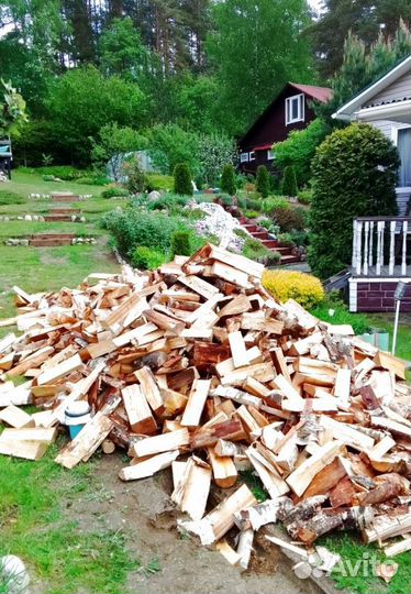 Дрова Ольха навалом в Приозерске
