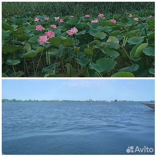 Рыбалка и Отдых в Астрахани, с. Вышка