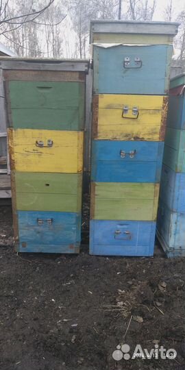 Улей для пчел бу