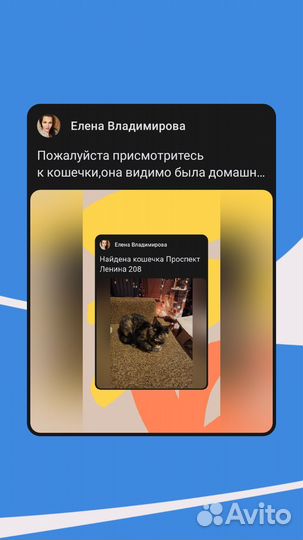 Отдам в добрые руки