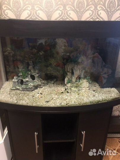 Аквариум