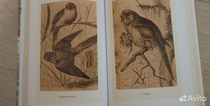 А. Брем жизнь животных 24 тома