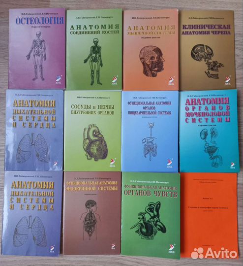 Методички по анатомии