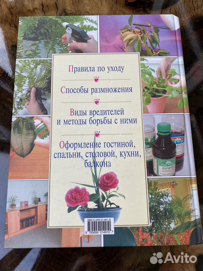 Энциклопедия комнатных растений