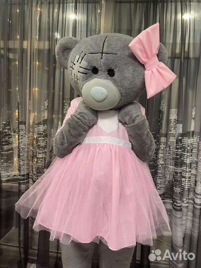 Экспресс поздравление, живая открытка,Мишка