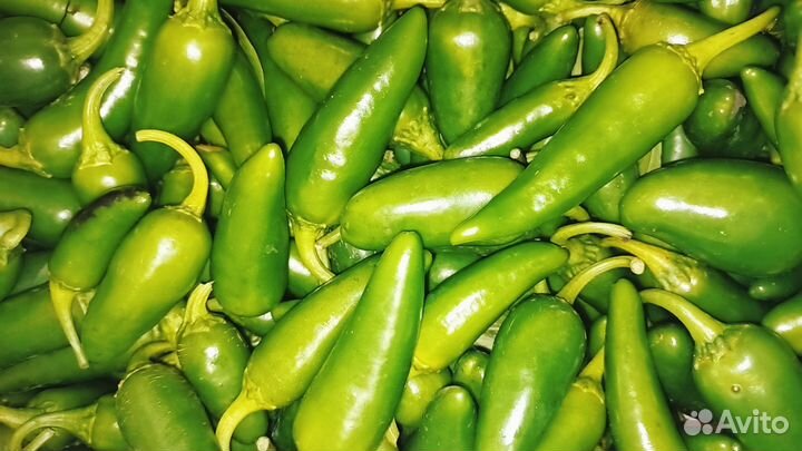 Перец халапеньо свежий урожай