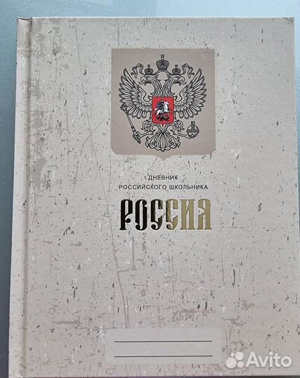 Дневник российского школьника