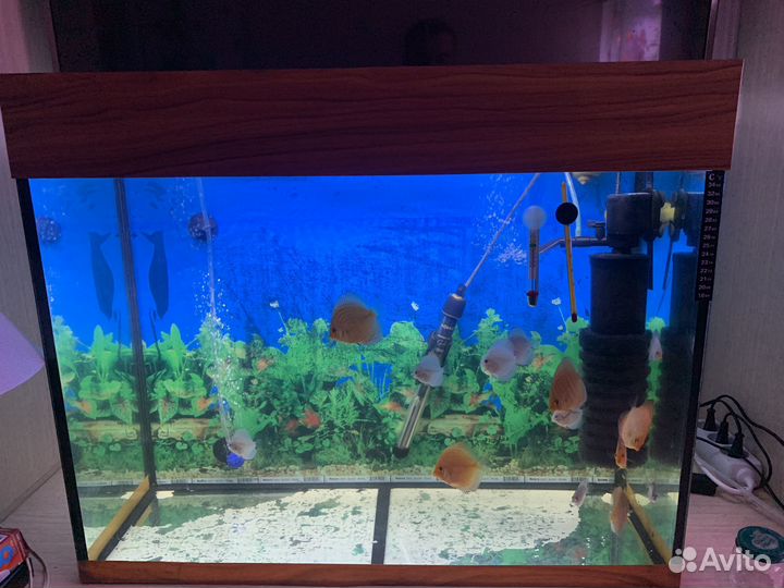 Аквариум 105 литров