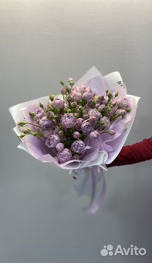 Цветы/кустовые розы