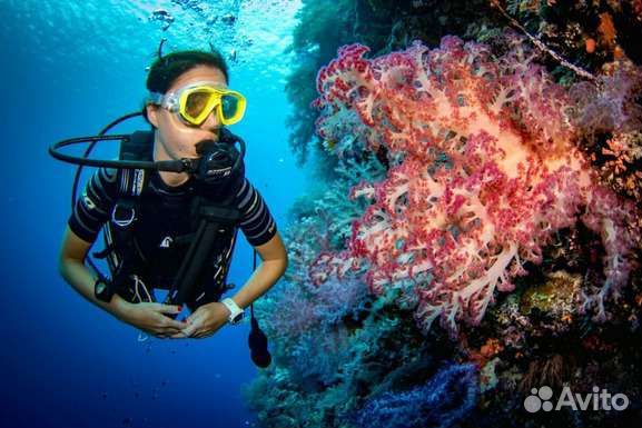 Дайвинг/прокат гидроцикла/Геленджик