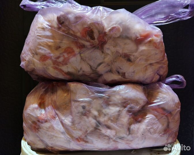 Цыплята суточные