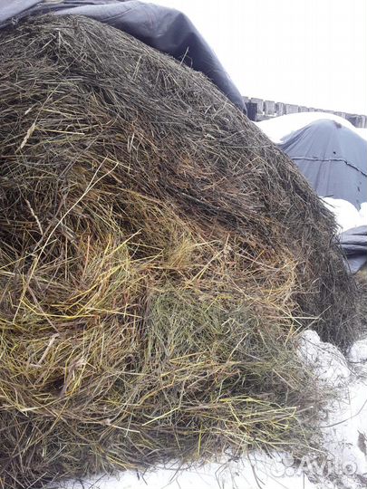 Сено