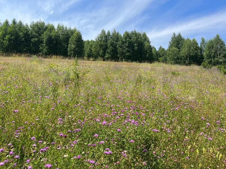 Участок 15 сот. (ИЖС)