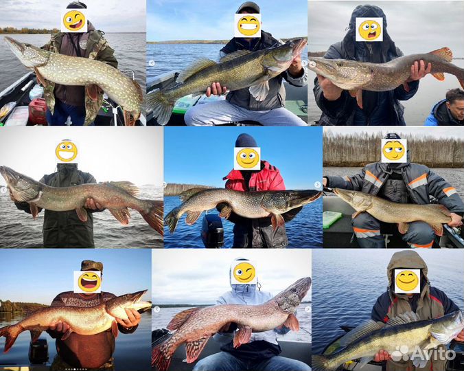 Рыбалка с гидом. Чебоксарское вдхр. Город нн