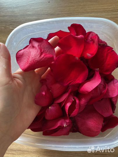 Лепестки роз