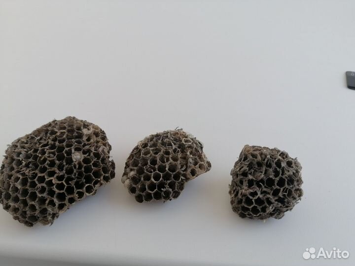 Осиное гнездо для поделок