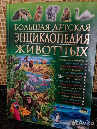 Энциклопедия животных новая 416 страниц