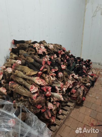 Продажа субпродуктов