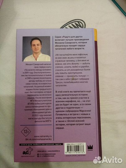 Осенний марафон лабрадора Трисона