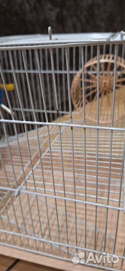 Клетка для хомяка