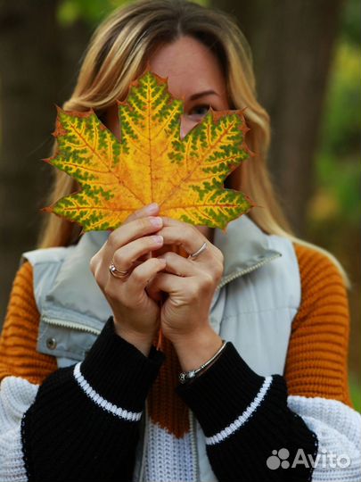 Фотограф, фотосессия