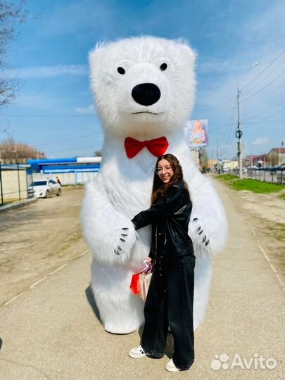 Белый Мишка на праздник Чебурашка Аниматор