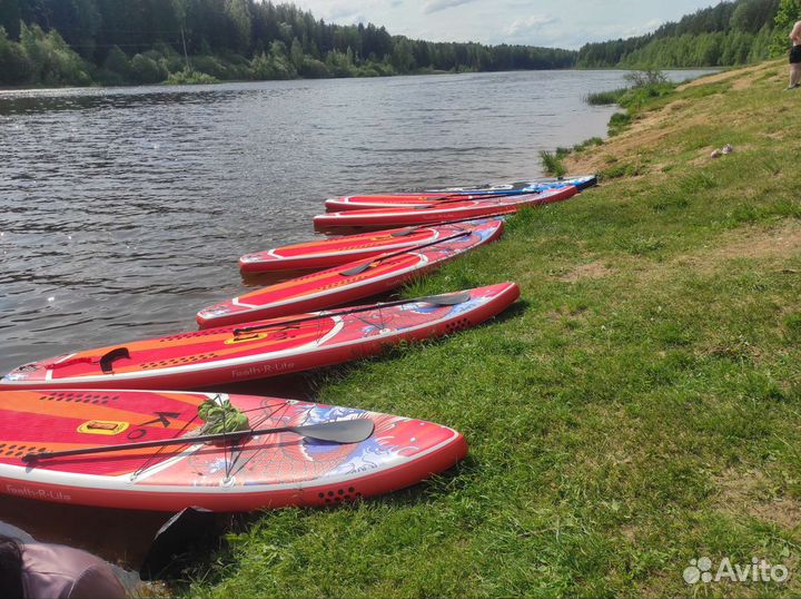 Прокат сап бордов