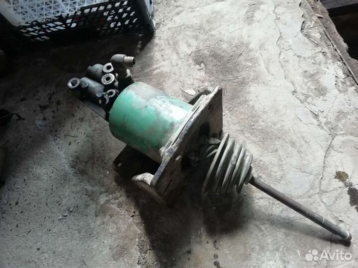 Пгу маз зубрёнок