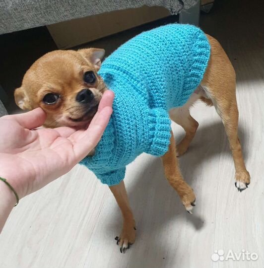 Свитер на собачку ручной работы