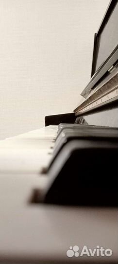 Пианино Кубань