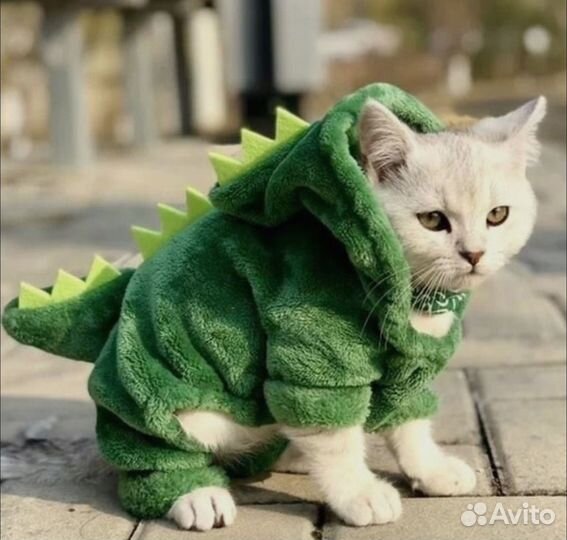 Костюм для кошек и собак