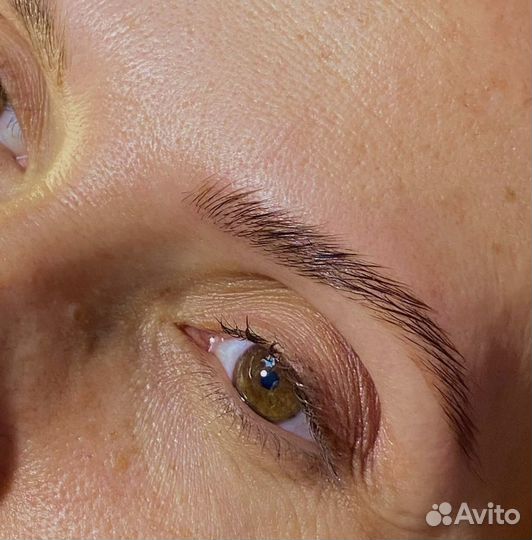 Мастер бровист