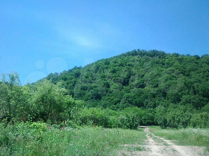 Участок 8 сот. (СНТ, ДНП)